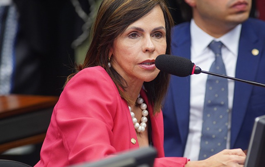 Deputada federal Professora Dorinha (DEM)