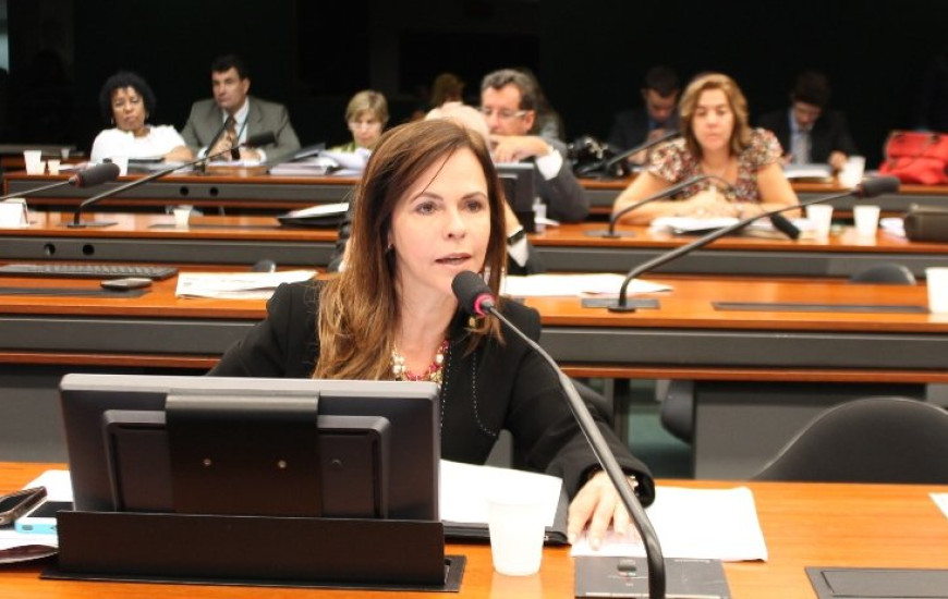 Deputada Dorinha Seabra (DEM)