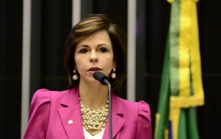 Deputada Professora Dorinha