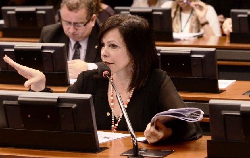 Dorinha alerta para encerramento do prazo