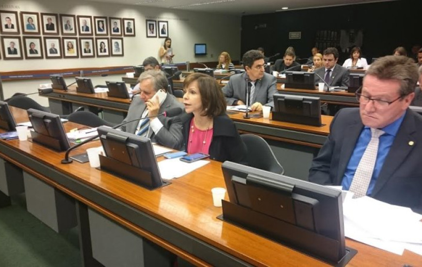 Deputada Professora Dorinha