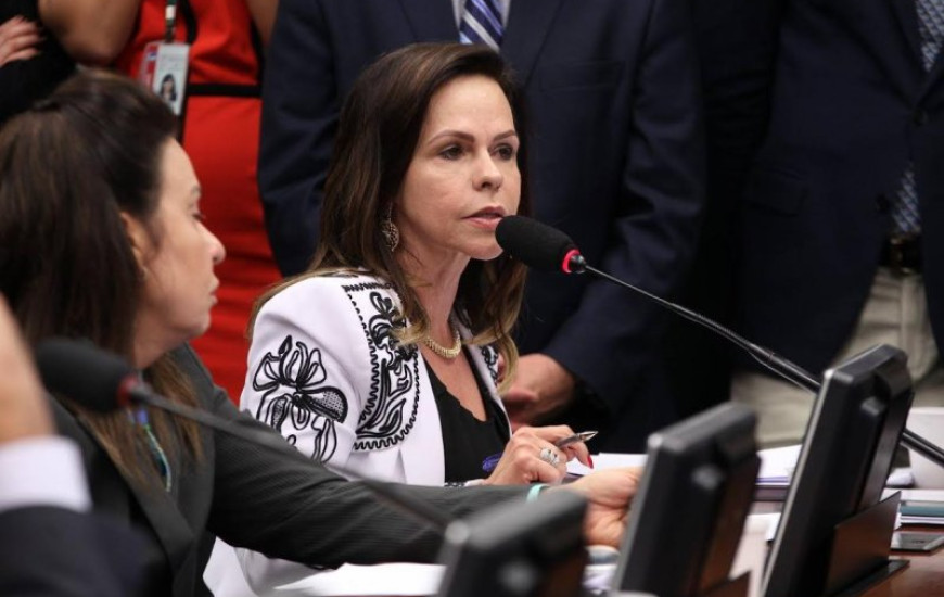 Deputada federal Professora Dorinha