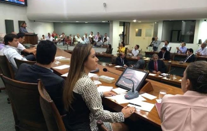 Luana Ribeiro preside audiência