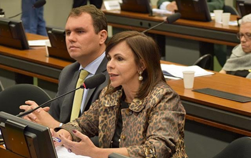 Parecer de Dorinha foi aprovado