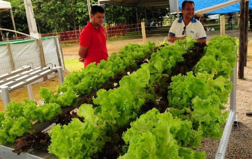 Produtores terão acesso a cursos na Agrotins 2016