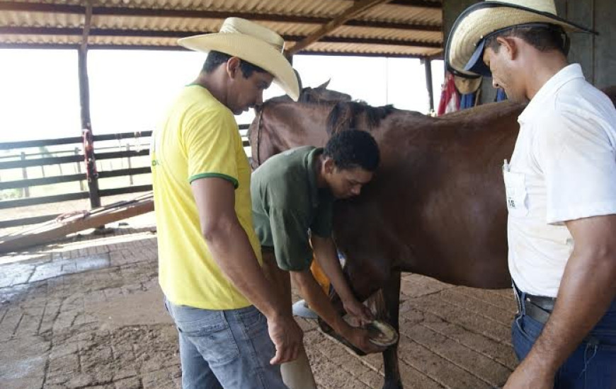 Curso de casqueamento acaba nesta 6ª