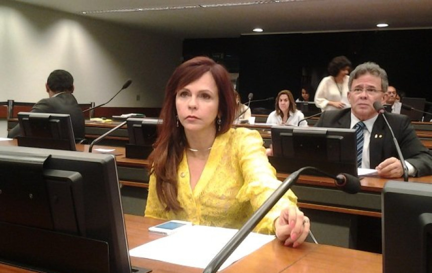 Deputada Dorinha Seabra