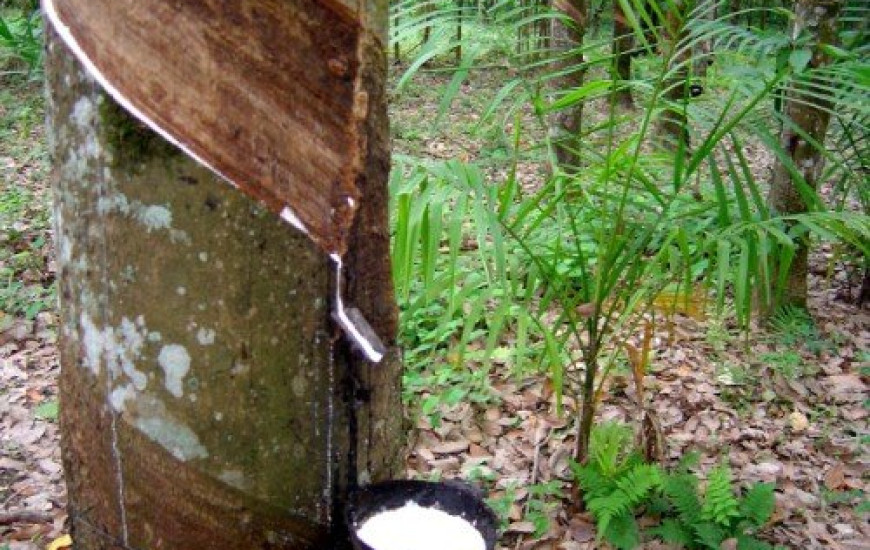 Governador vai fazer primeira sangria