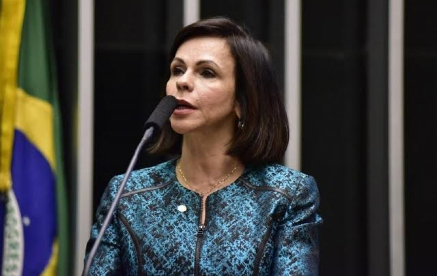 Deputada Professora Dorinha