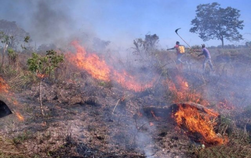 Queimadas atingem várias cidades do Tocantins