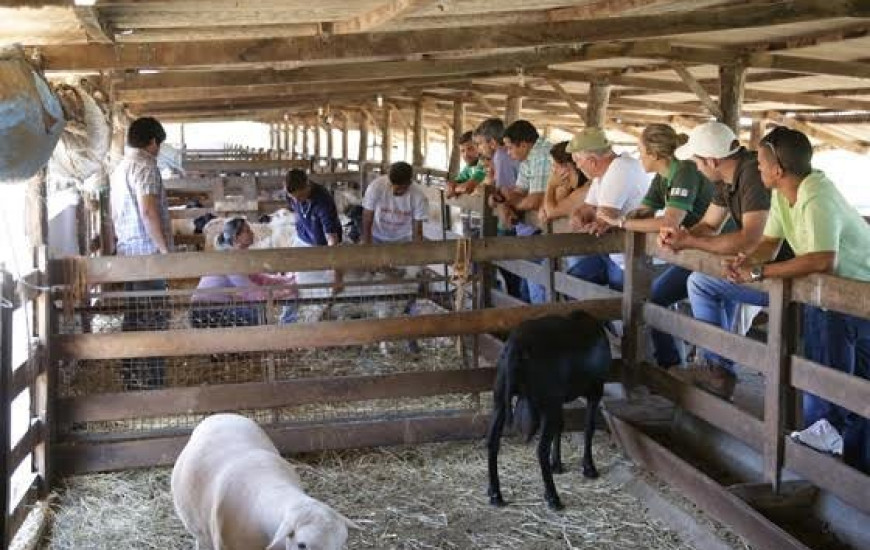 Capacitação foi em propriedade parceira do Senar