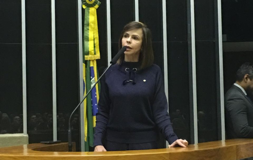 Dorinha em sessão sobre a Reforma da Previdência