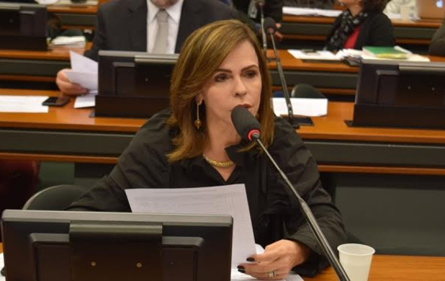 Dorinha garante pagamento de recursos do FNDE a municípios