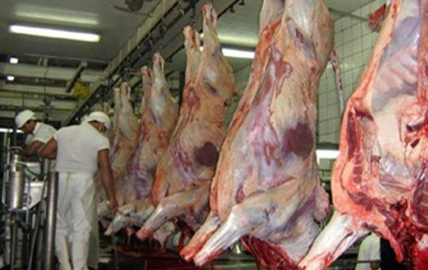 Cadeia produtiva da carne será destaque