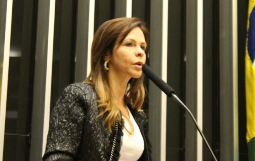 Deputada Dorinha Seabra (Democratas)