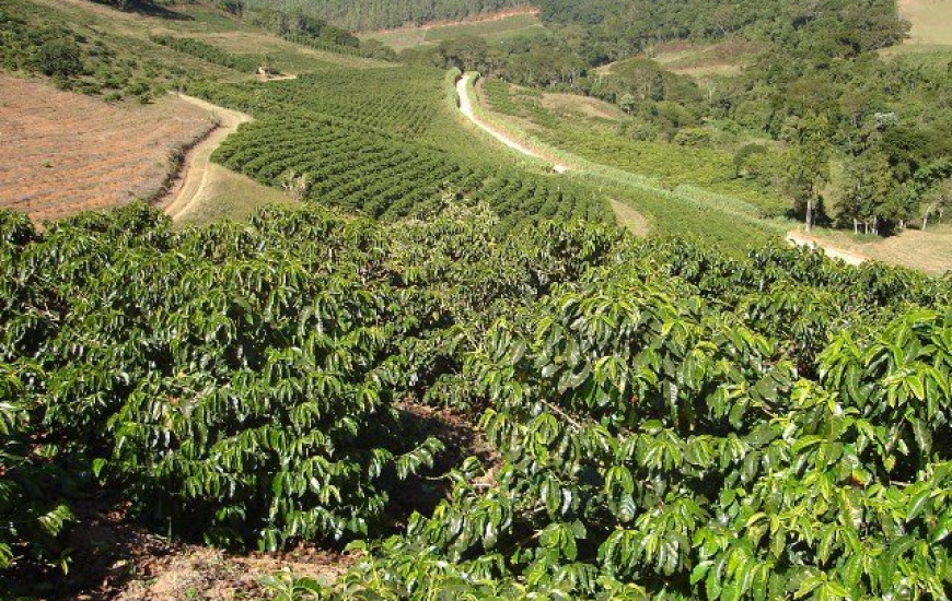 Programa garante acesso à terra