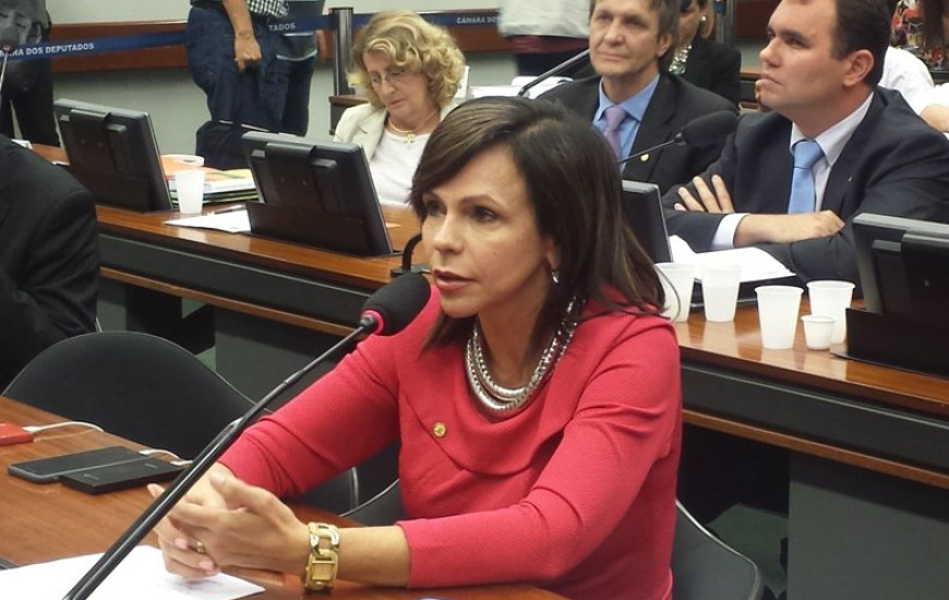 Dorinha vota contra MP