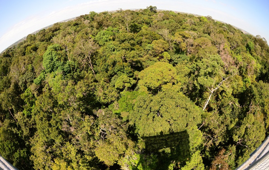 Ecoturismo e natureza são a segunda motivação de viagem