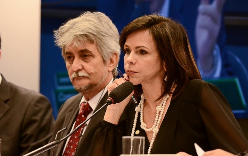 Deputada federal Profª Dorinha