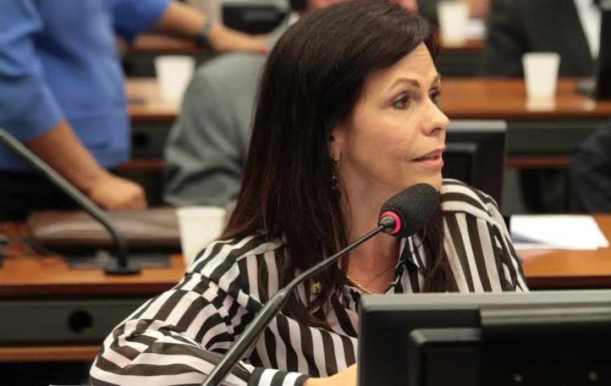 Deputada Profª Dorinha