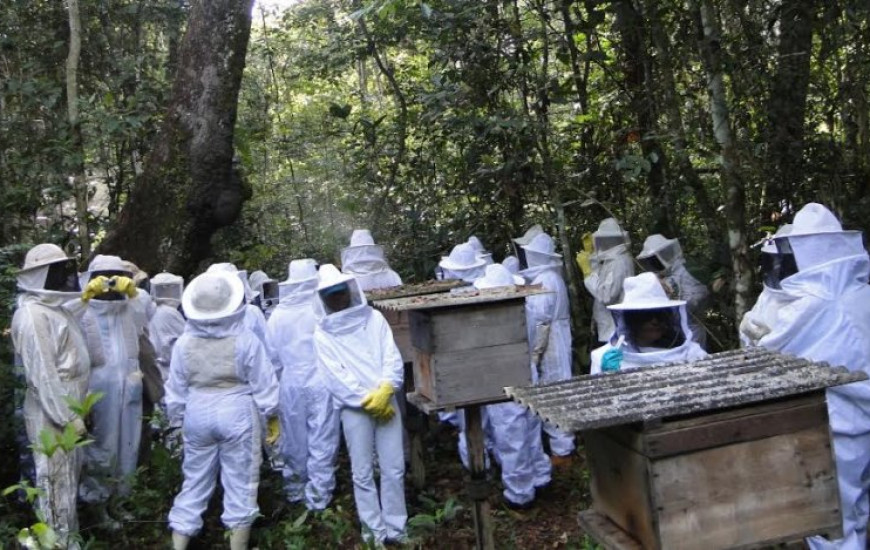 Confira os cursos ofertados