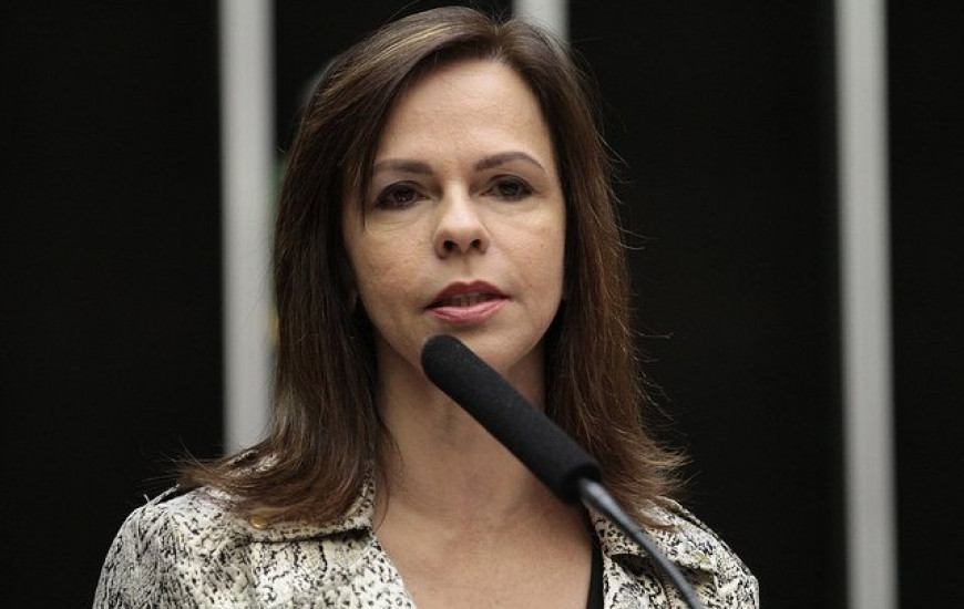 Deputada Professora Dorinha