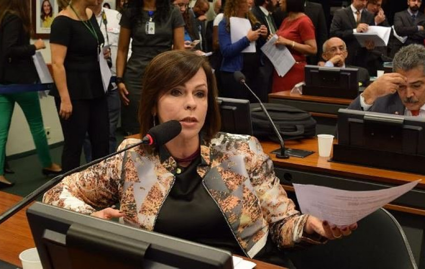 Dorinha teve parecer aprovado