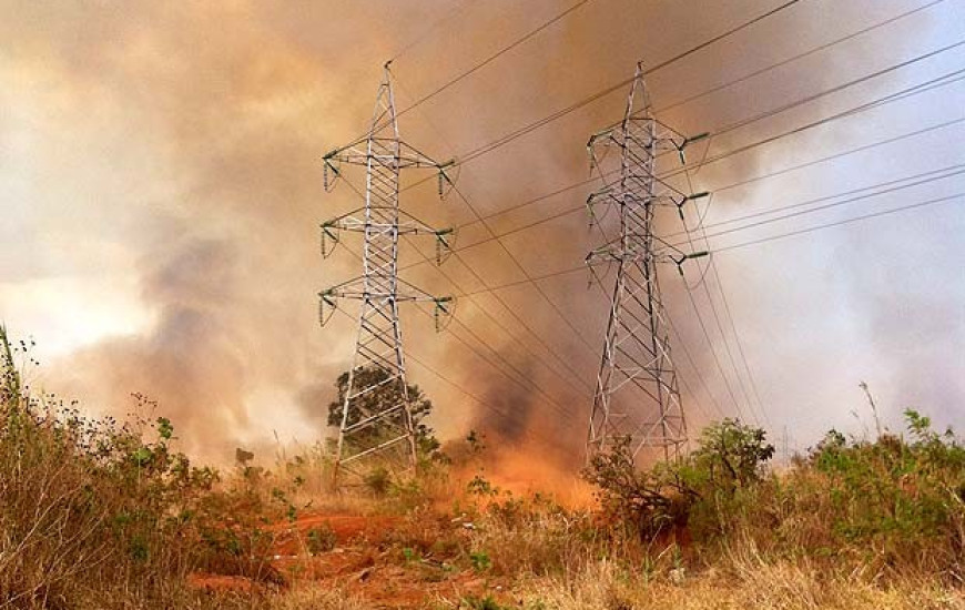 Cerrado está entre áreas de incidência.