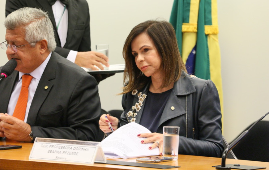 Deputada Federal Professora Dorinha