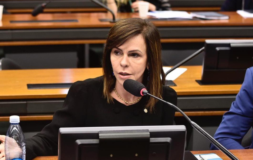 Dorinha trabalhou para liberação de recursos.