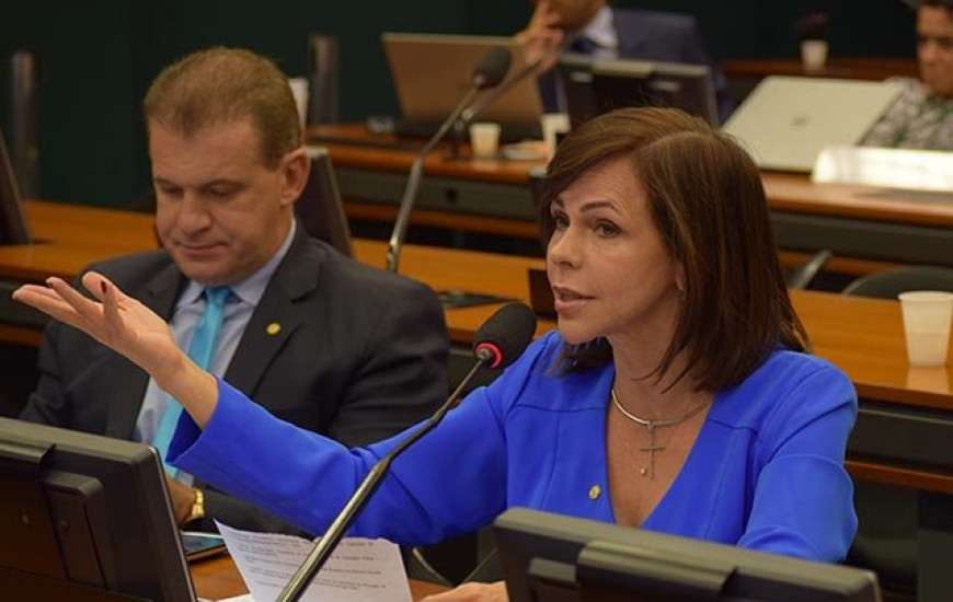 Dorinha consegue recursos para sete cidades