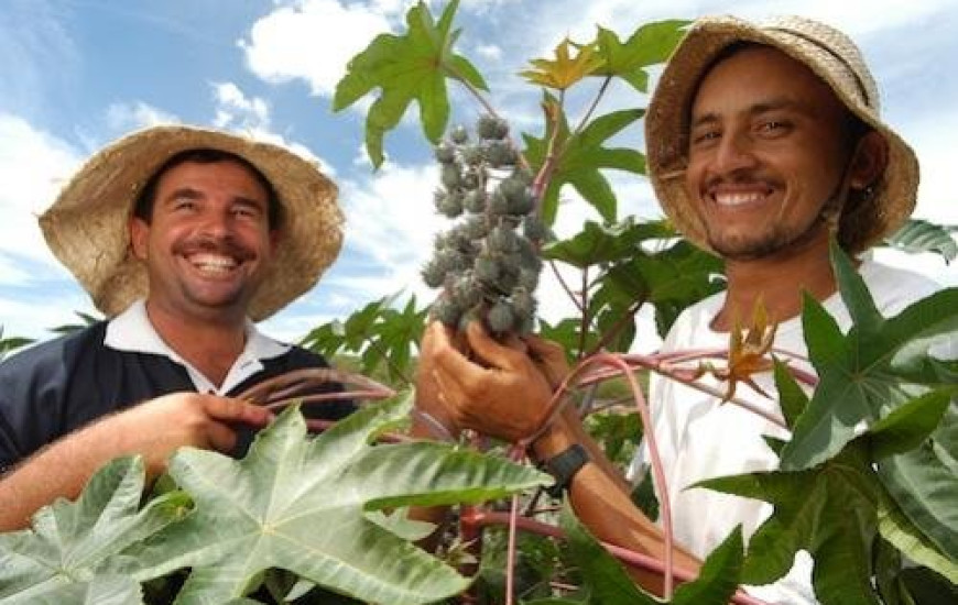 Cinco regiões do Estado foram contempladas