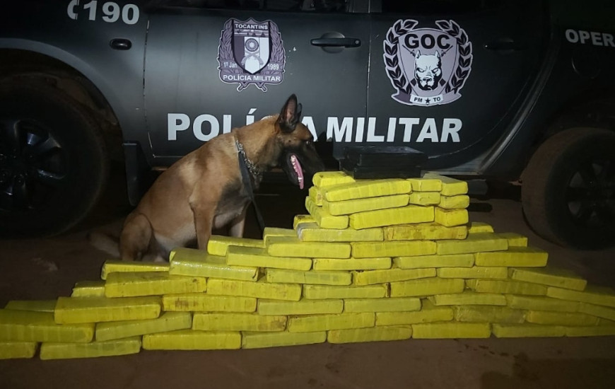 Grande quantidade de drogas apreendidas em Paraíso 