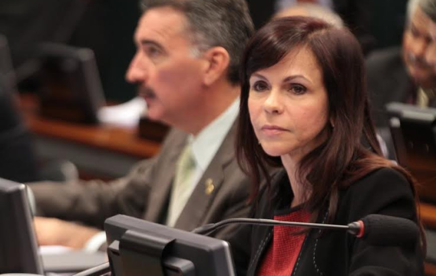 Deputada Profª Dorinha