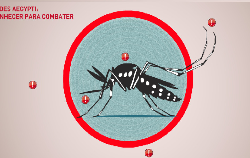 Até outubro estado registrou 19 mil casos