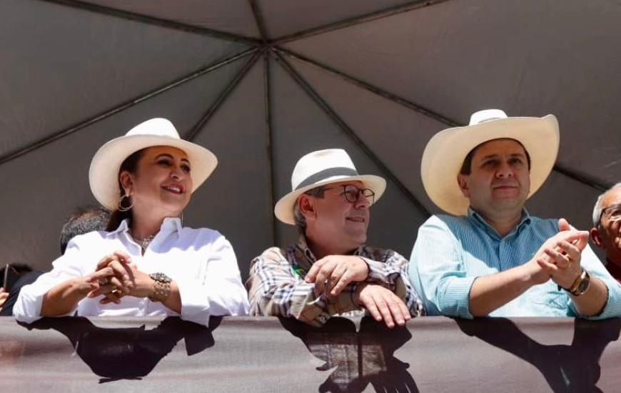 No camarote oficial.