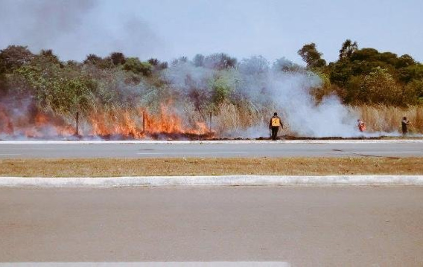 Queimada registrada na Avenida NS-03