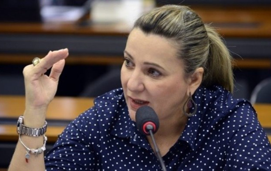 Deputada Federal Dulce Miranda (MDB-TO).