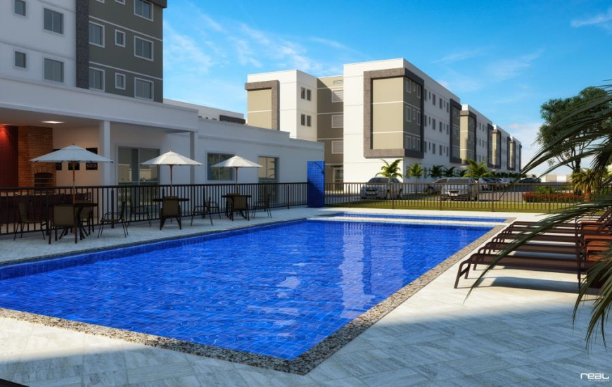 Palmeira Imperial, em Palmas