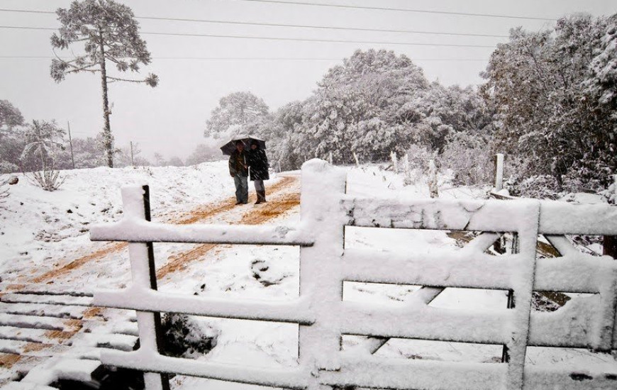 Ruas, carros e casas cobertos pela neve