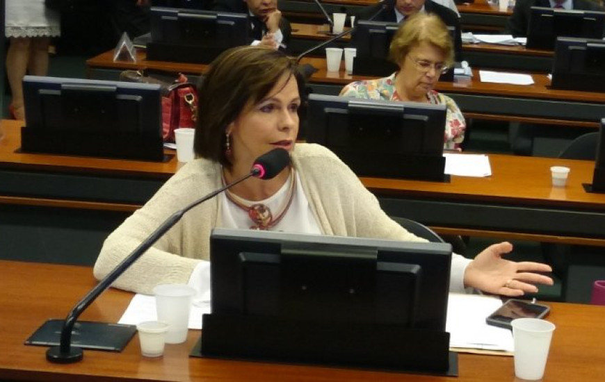 Requerimento de Dorinha aprovado com unanimidade