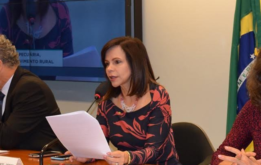 Dorinha garante liberação de recursos