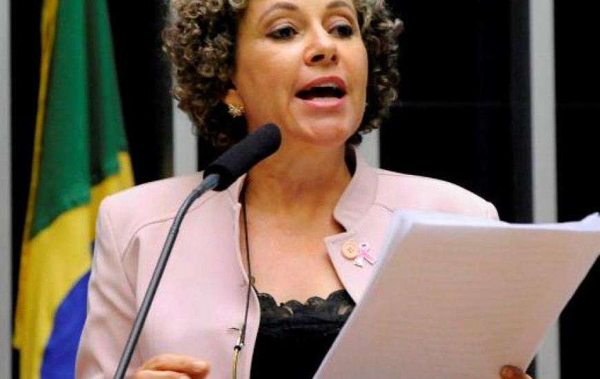 Deputada foi designada para relatoria de Projeto de Lei