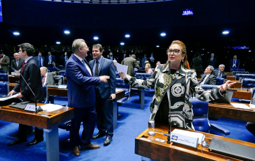 Senadora defende medida para reduzir preço do produto na bomba