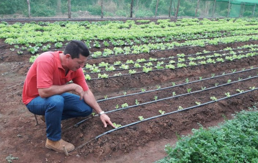22 hortas comerciais são atendidas pela Seder