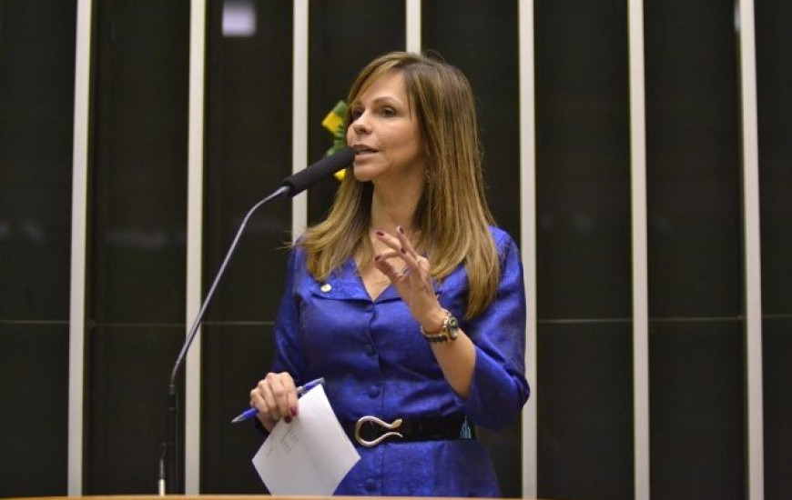 Deputada Dorinha Seabra