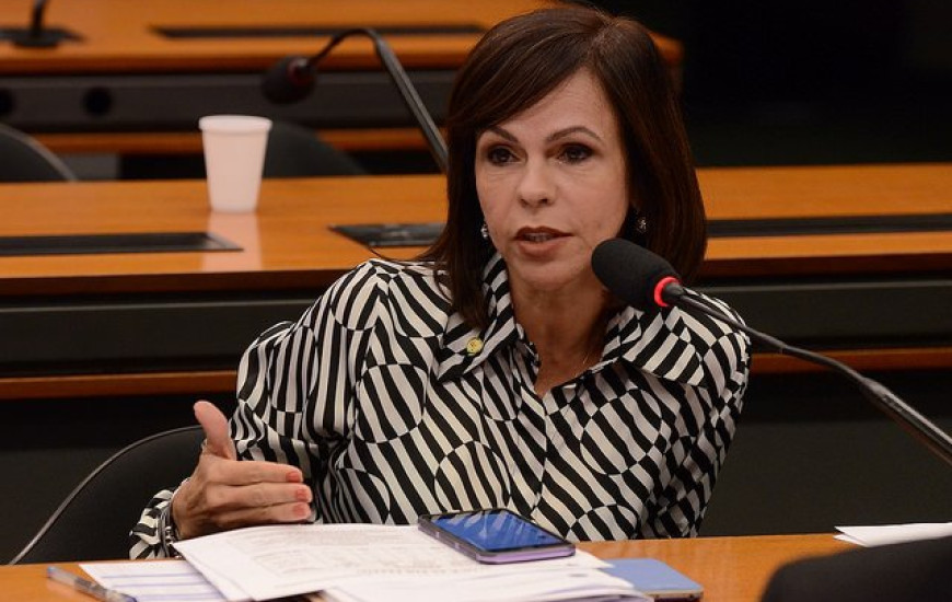 Destaque de Dorinha é aprovado na Câmara