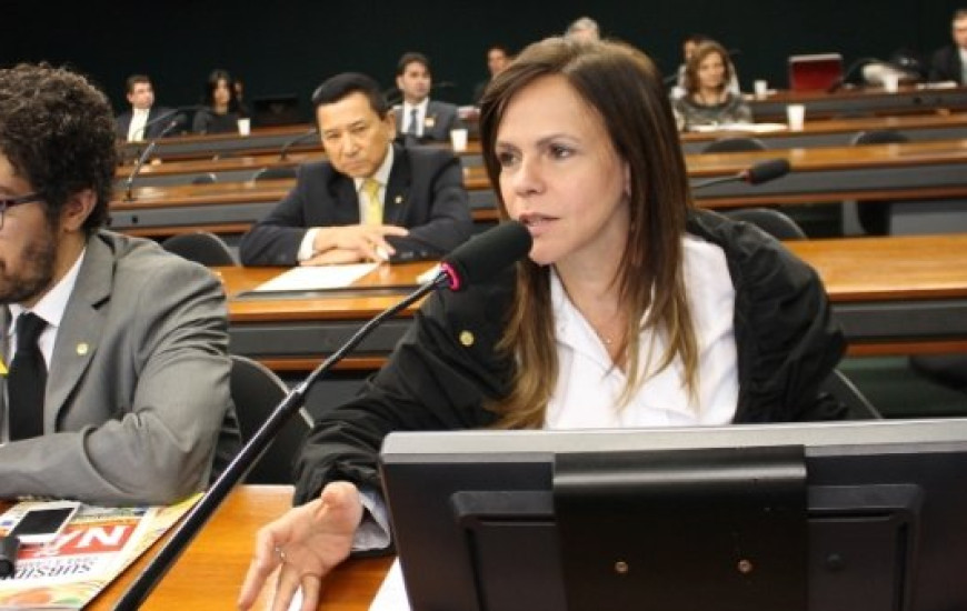 Deputada Dorinha Seabra (DEM)