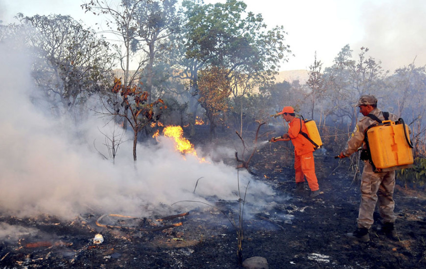 Até agora são 16.265 ha de área queimada no Estado,