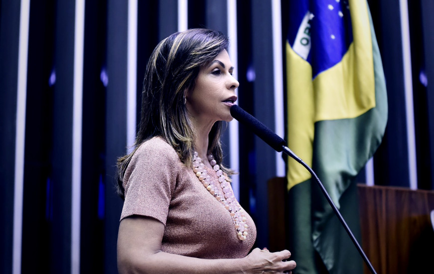 Deputada Federal Professora Dorinha 